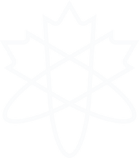 C4NE logo